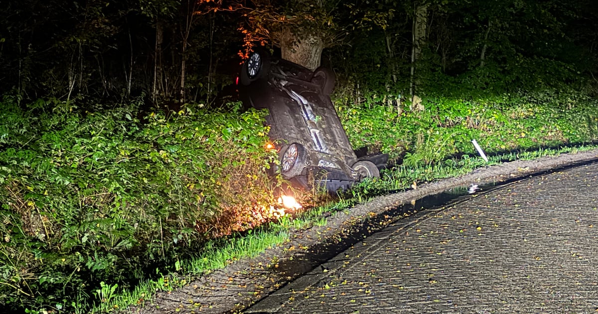 Auto eindigt verticaal tegen boom na ongeval in Putten, 22-jarige bestuurster had ‘fors te veel gedr