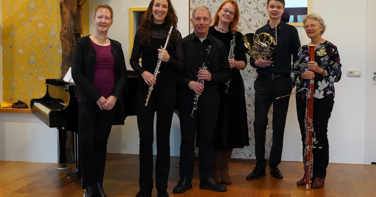 Suolle Ensemble geeft zondag gratis koffieconcert in Wijhe