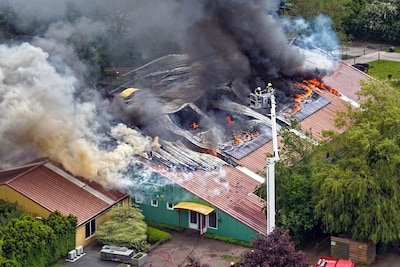 Cavia's, konijnen en geiten overleden na brand Sanjeszoo in Feanwâlden, park deels open
