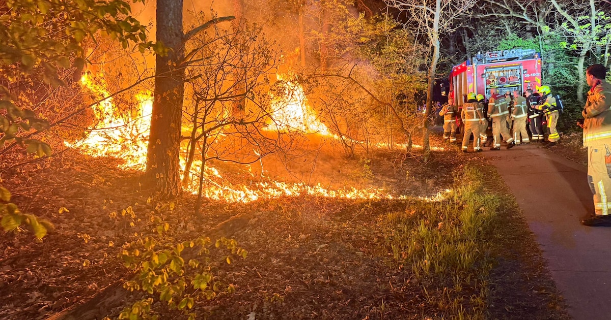 Bosbrandje in Nunspeet snel geblust