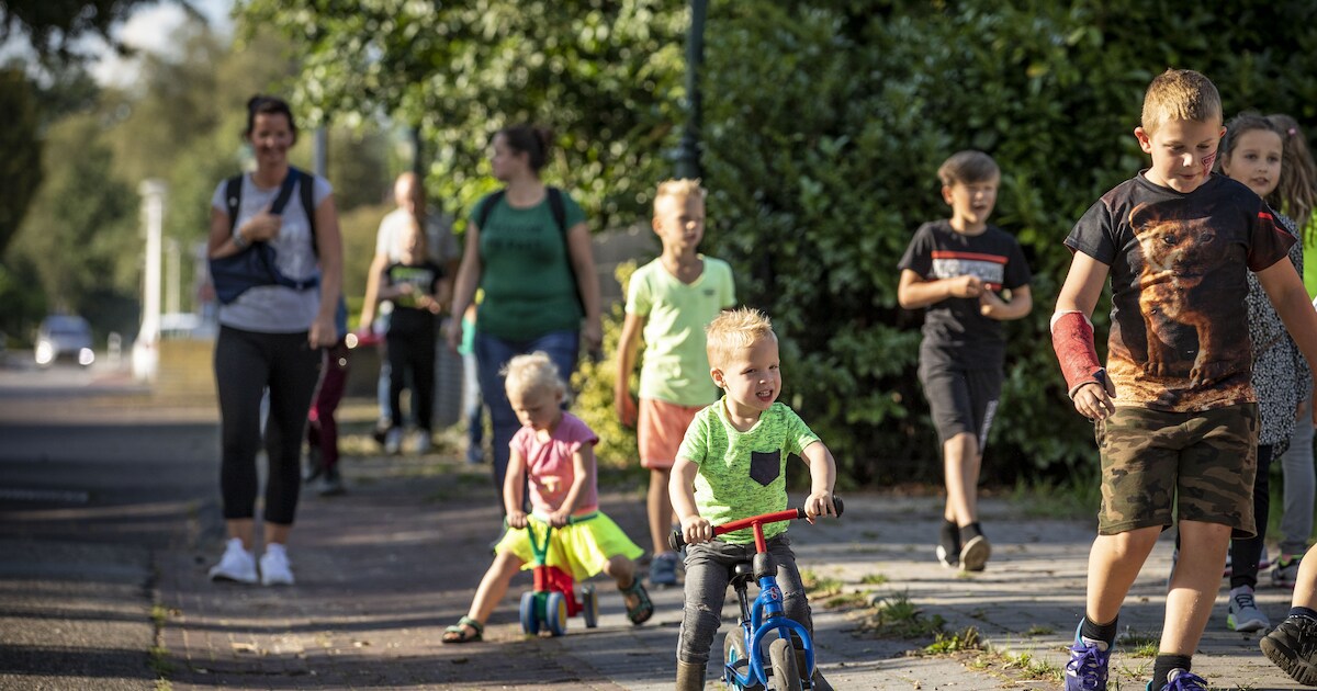 Wandeldriedaagse begint in Boven Pekela met route door veld en over dijk