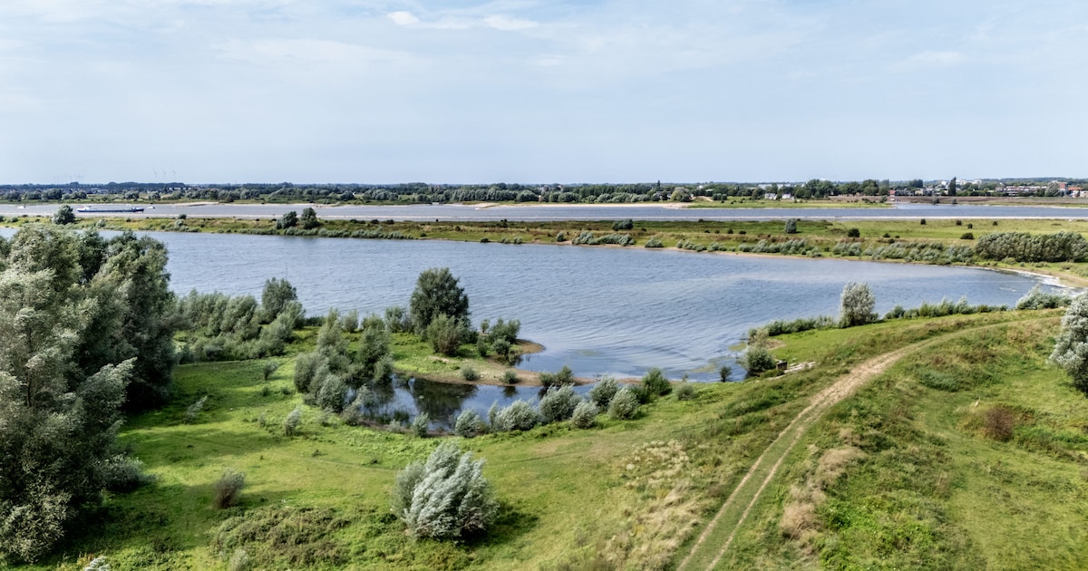 Rijkswaterstaat licht natuurplannen langs de Waal toe in Dreumel