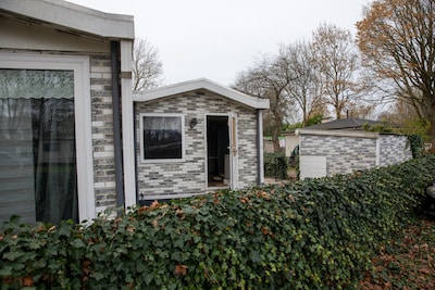 Image related to the article