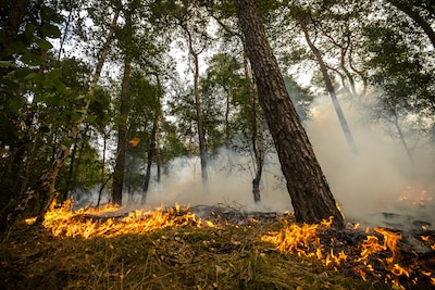 Limburgse natuurbrand breidt zich niet meer uit, maar is nog niet onder controle