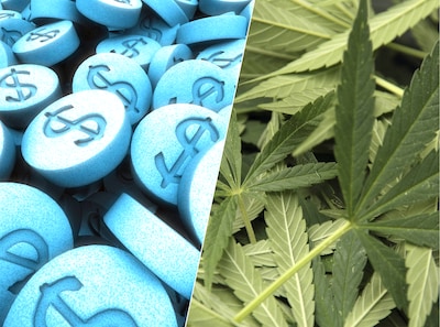 Hierom eist justitie geen cel voor Eindhovenaar die huis vol drugs had