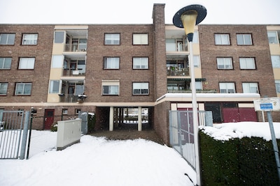 Na dagen bedenktijd trekt Mi Hellemonders verdenkmaking tegen VVD-er over geweld in: ‘Geen bewijs’