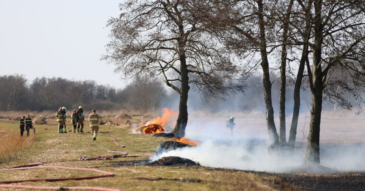 Gemeente Steenwijkerland: ‘Geen riet en tuinafval verbranden’