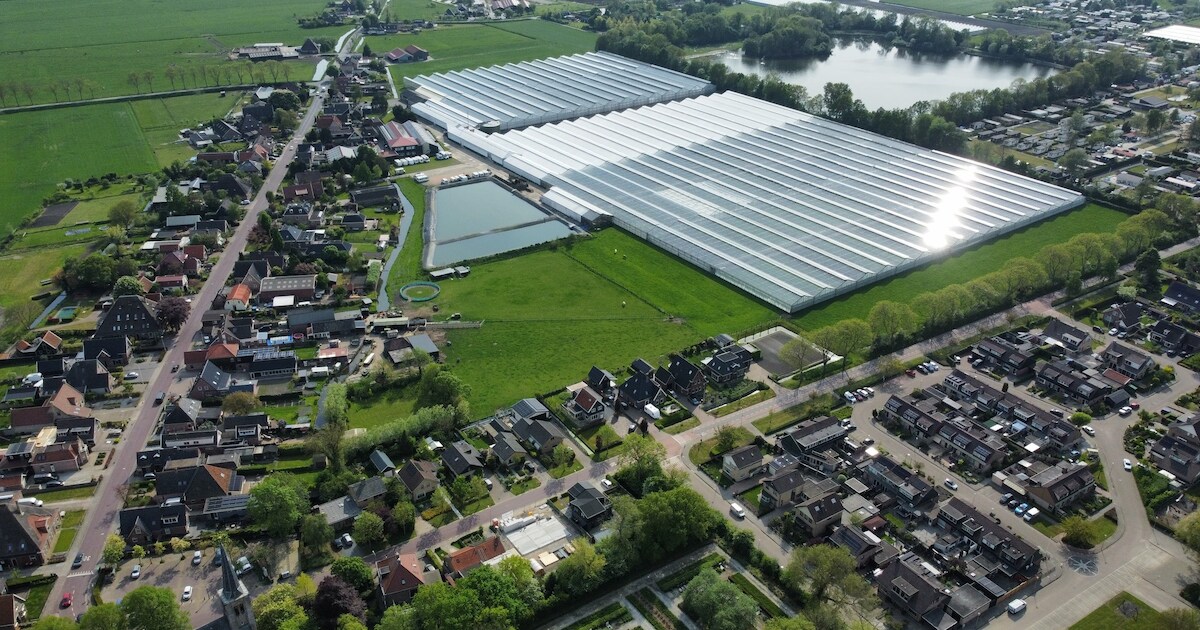 Nieuwe woonbuurt gepland in Hensbroek, gemeente vraagt inwoners om mening