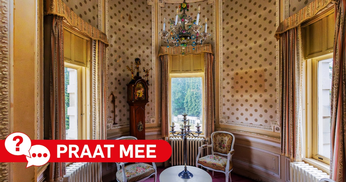 Wie moet kasteel Oud-Wassenaar redden?