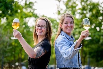 Image related to the article