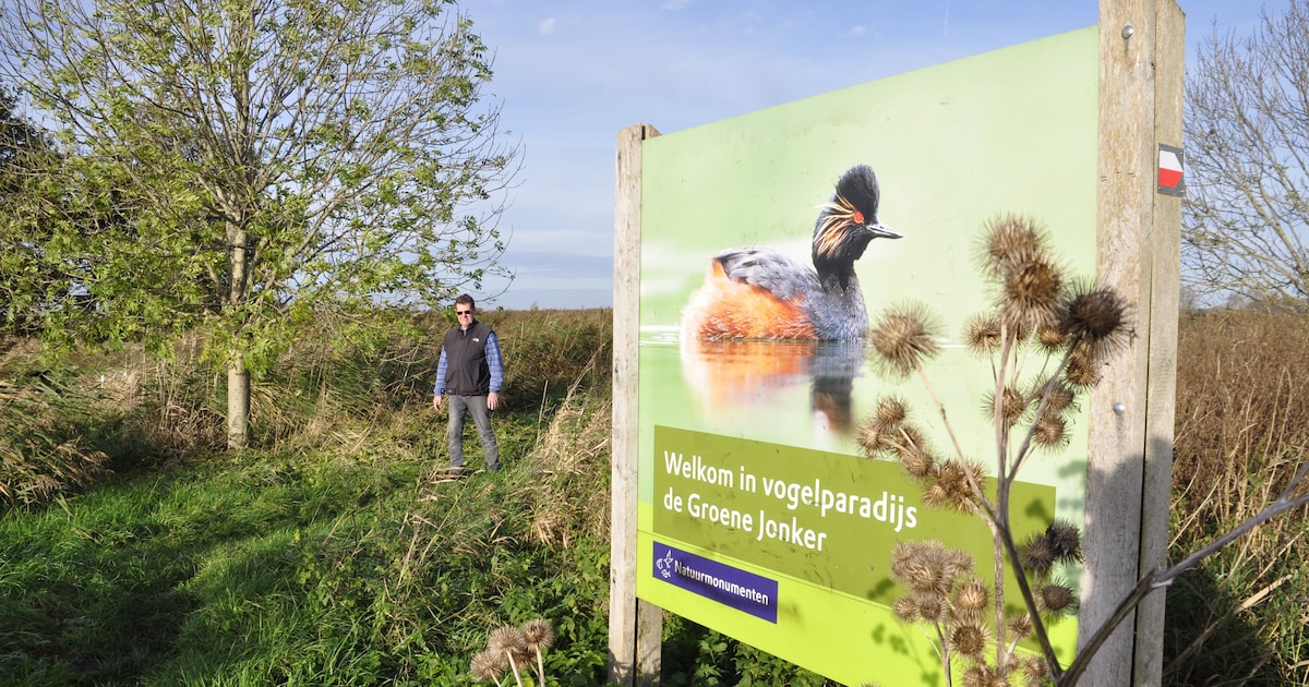 Lezers willen honden op nieuwe Nieuwkoopse natuurroutes: ‘Aangelijnd moet kunnen’