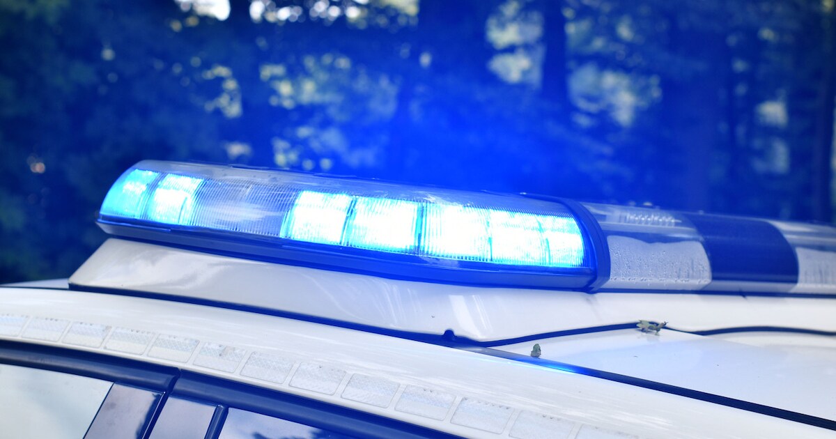 Persoon te water op Berkmeerdijk in Obdam