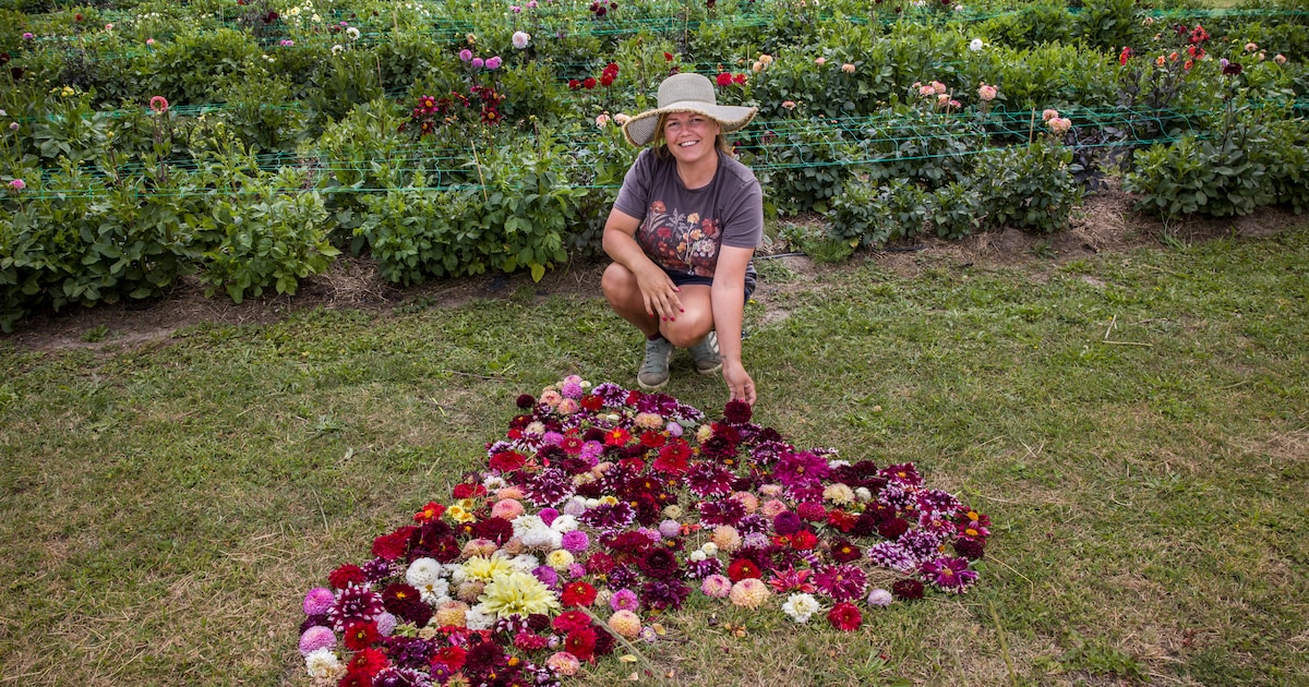 Wendy’s pluktuin bloeit als een gek door vroege warmte: ‘De veldbloemen hebben we al moeten maaien’