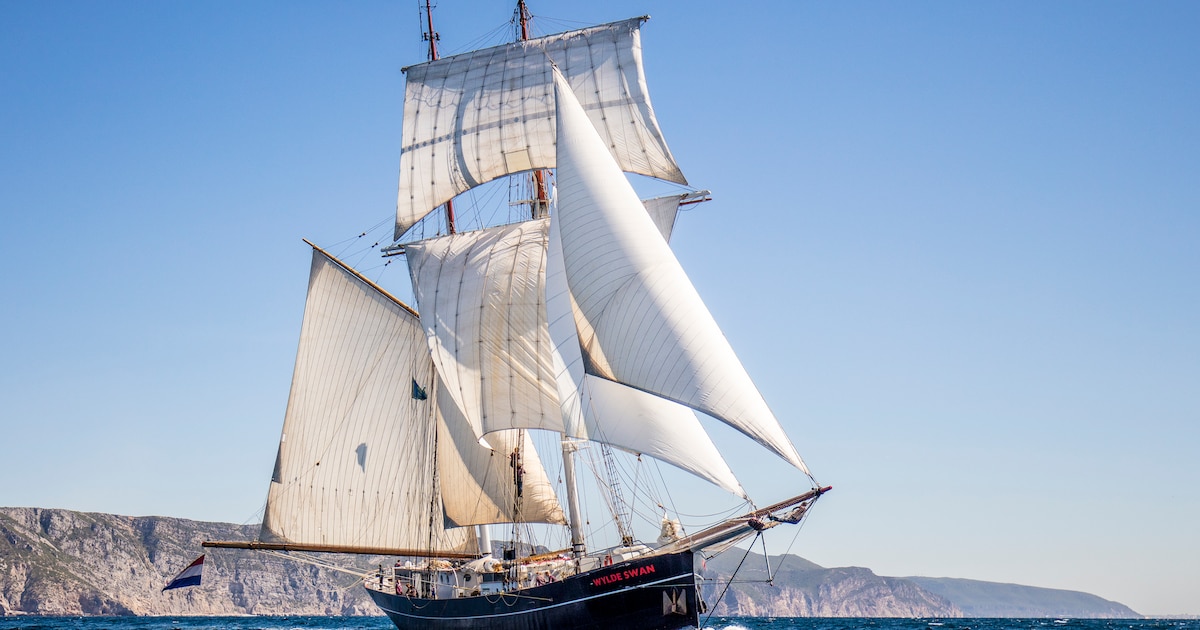 Tallship races brengen imposante zeilschepen De Wylde Swan en Morgenster naar Vlissingen