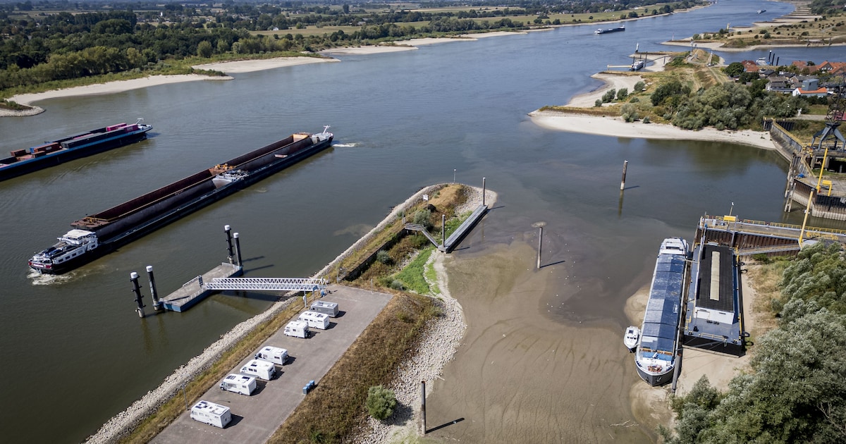 Waterafvoer in de Rijn zakt naar laagste niveau ooit en dat zorgt voor grote problemen