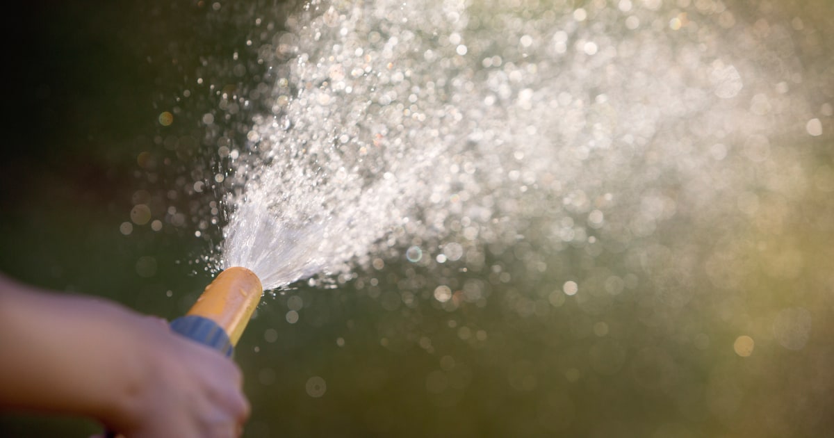 Gemeente De Ronde Venen volgt sproeiverbod op vanwege aanhoudende droogte