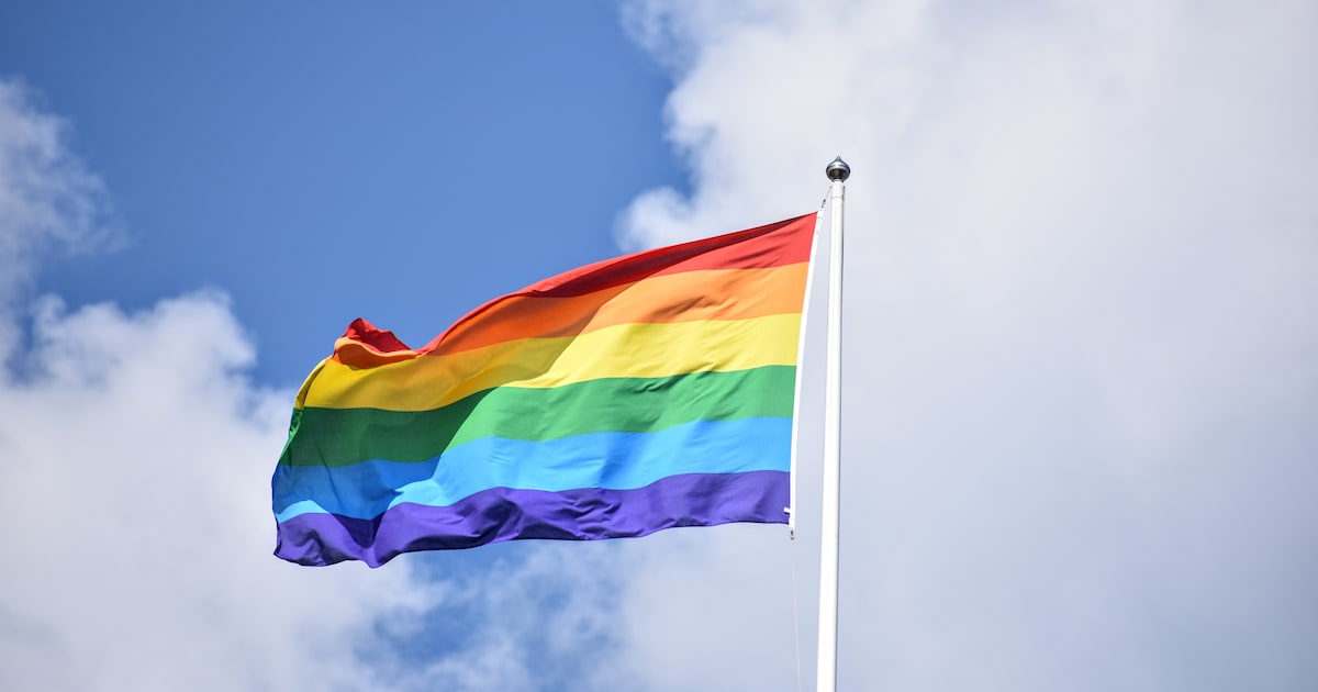 Oisterwijk is al vijf jaar regenbooggemeente, maar bereikt de doelgroep amper
