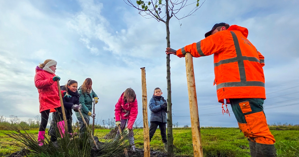 Recreatiegebied Spijkenisse krijgt er negen voetbalvelden met bomen en struiken bij