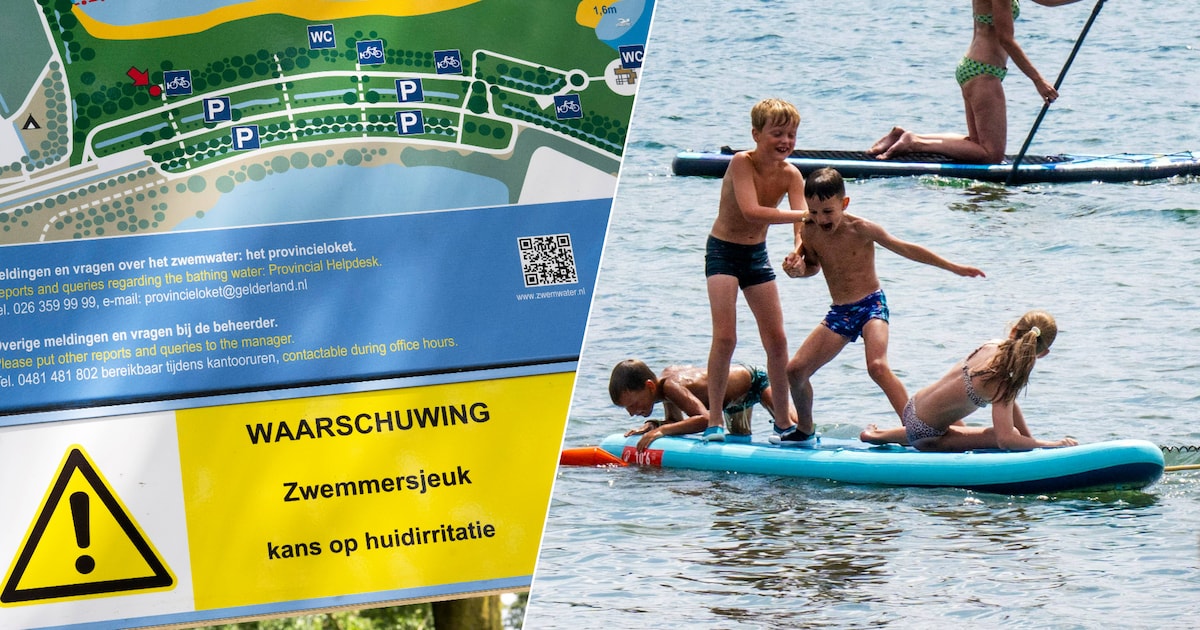 Parasieten in populair zwemmeer zetten mensen aan het krabben: ‘Vooral voor kleine kinderen heel ver