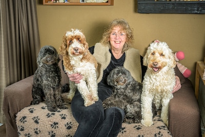 Janine uit Hengelo fokt ‘doodles’ en verbaast zich soms: ‘Die zwarte past niet in mijn interieur’