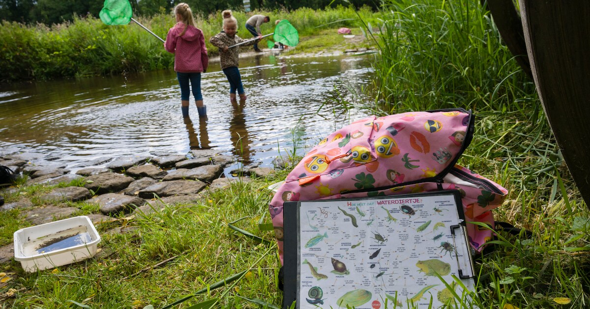 Slootjesdag in Vlist toont onderwaterleven | Foto