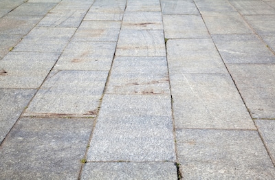 Image related to the article