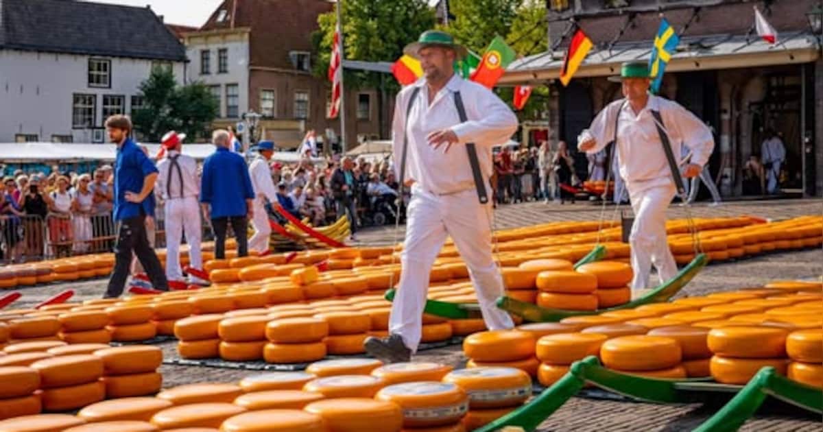 Kaasmarkt Alkmaar morgen verkort vanwege hitte