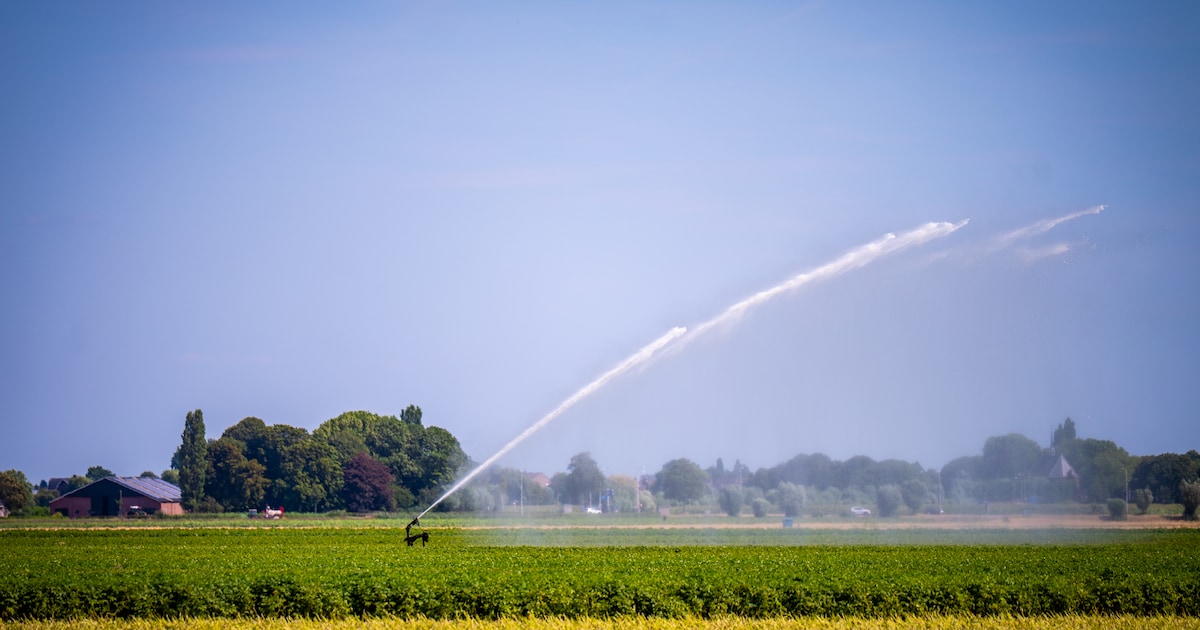 Boskoopse kwekers mogen nog met slootwater blijven sproeien