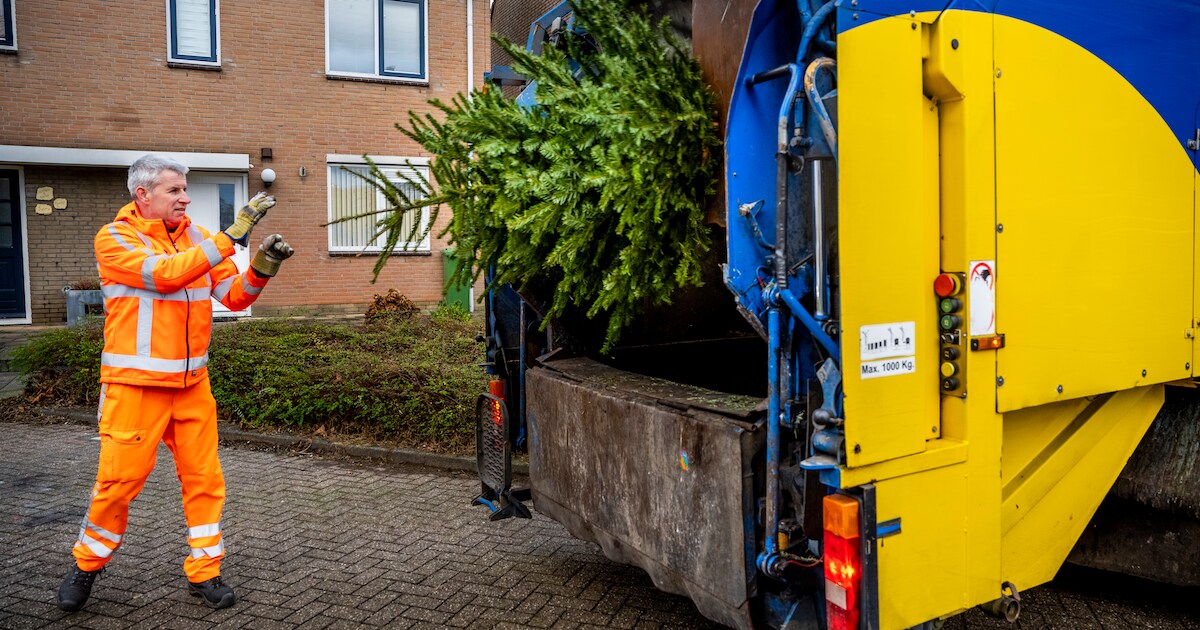 Kerstboomservice in De Bilt: ophaaldagen vastgesteld voor elke wijk