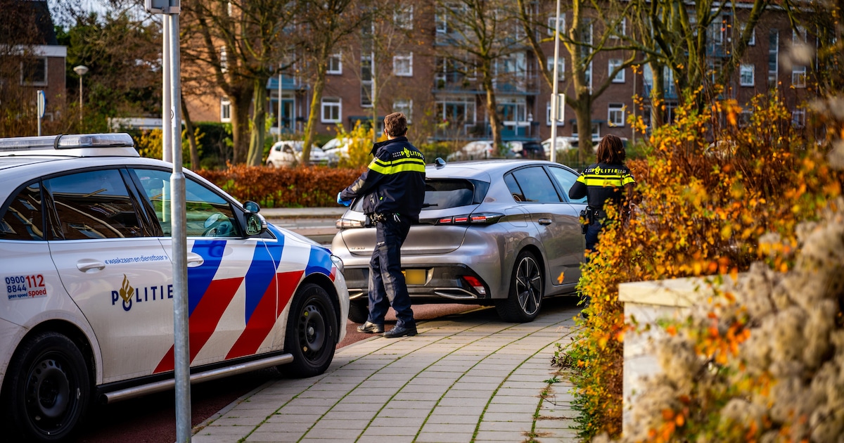 Twee mannen aangehouden na bekladden van gevel in Alphen