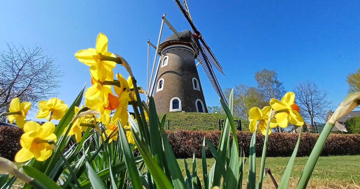 Molen Dijkstra in Winschoten wordt hersteld