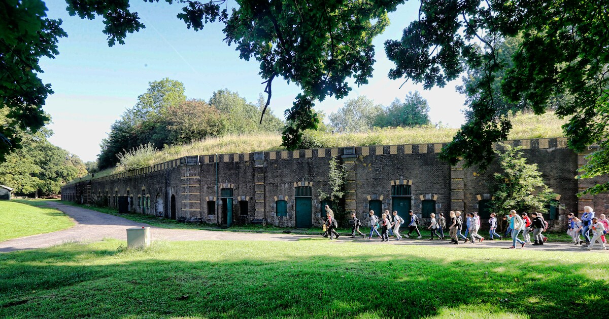 Vleermuizentours en kanonnen bouwen: avontuurlijke tours geven kijkje ...