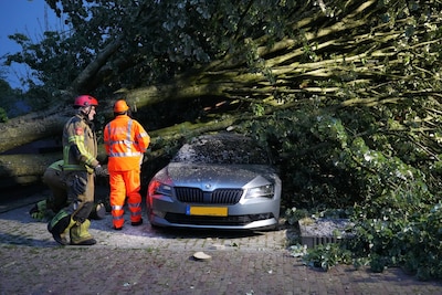 Flinke schade nadat boom tijdens noodweer op huis en auto waait in Molenschot