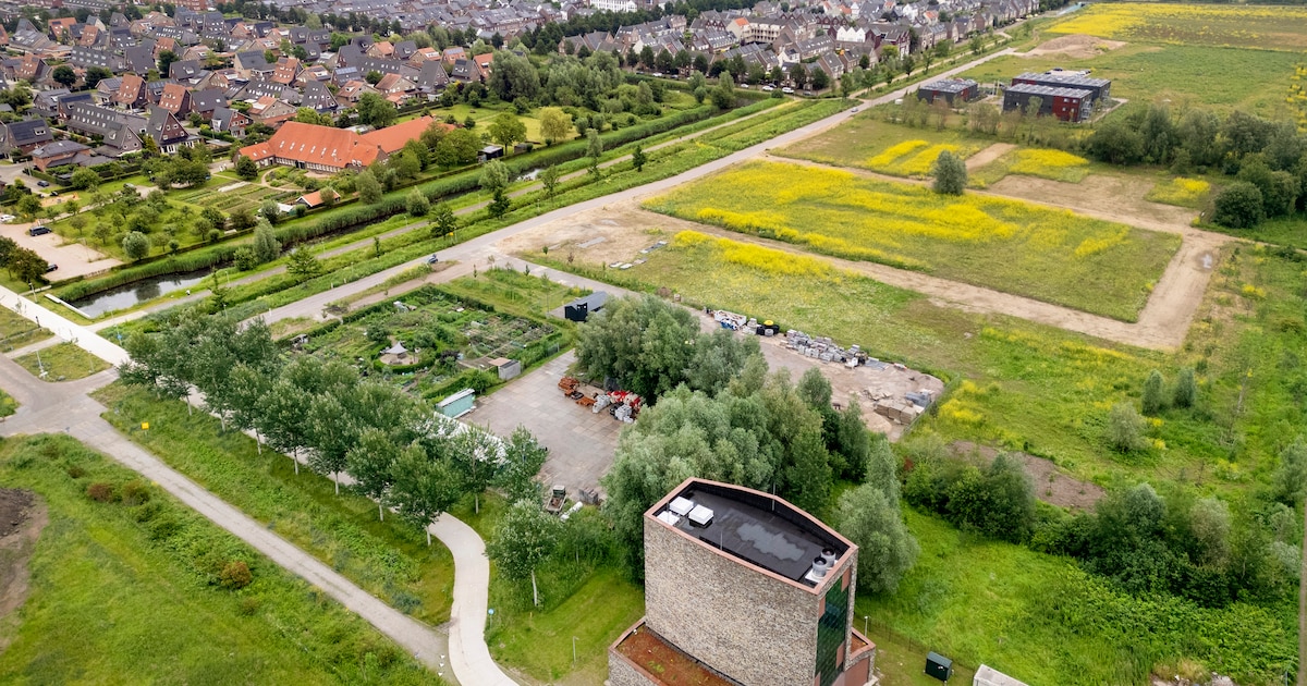 Geen taboe op de auto en terughoudend met windmolens: dit zijn de plannen van de nieuwe coalitie in 