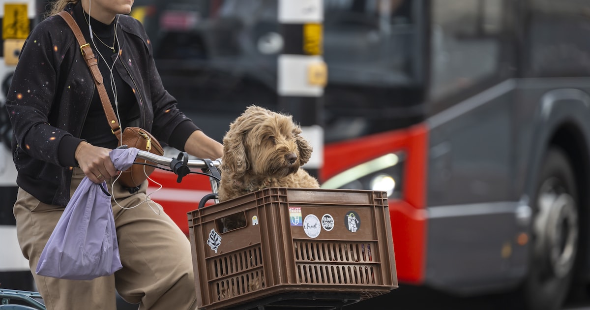Zo overschat je jezelf op de fiets: waarom we vooral naar anderen kijken
