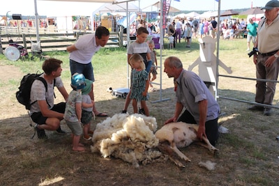 Weekendtips: deze dingen doe je in Ede (12-14 juni)