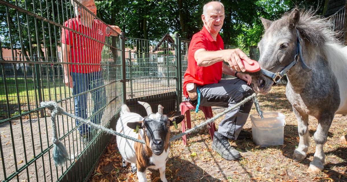 Ontdek slimme dieren en knutsel mee op kinderboerderij De Baak
