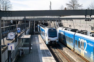 Image related to the article