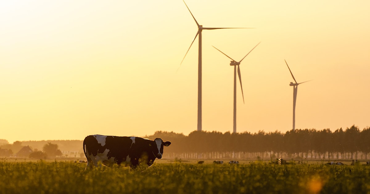 Inloopavonden over windmolenpark Culemborg