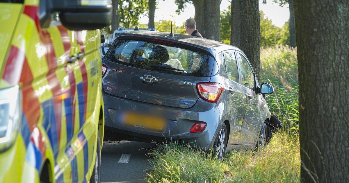 Automobilist komt tegen boom tot stilstand in Peize