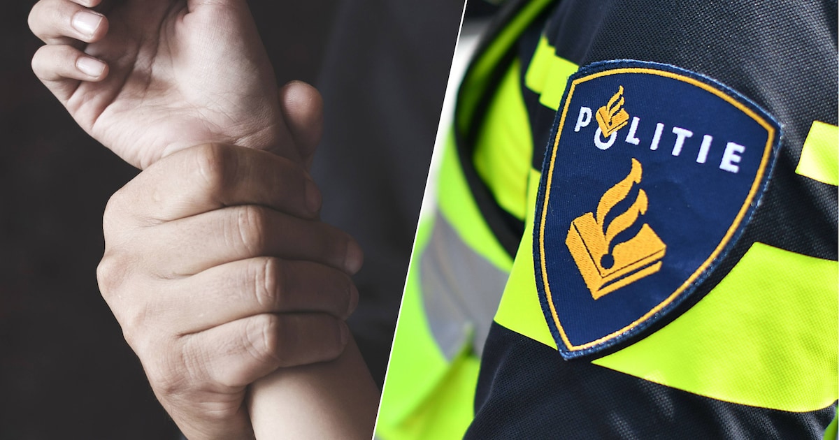 Politie zoekt getuigen na mishandeling bij Bloklandfeest in Nieuwveen