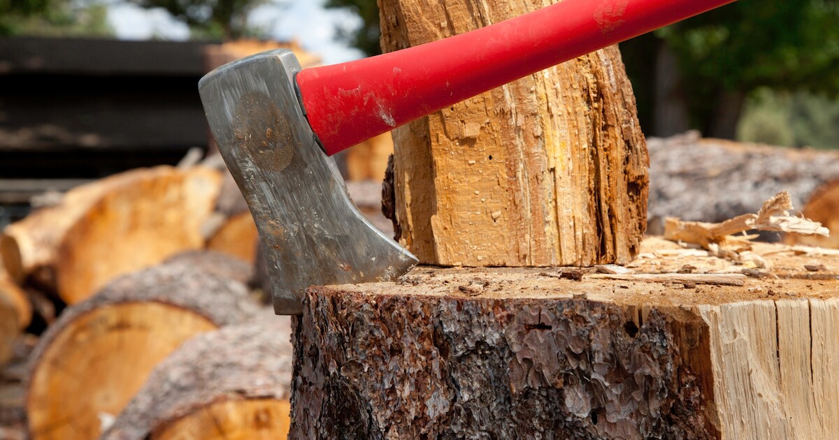 Terneuzen haalt snoeiafval op 24 oktober op