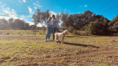 indebuurt is looking for Haarlemmers who moved abroad