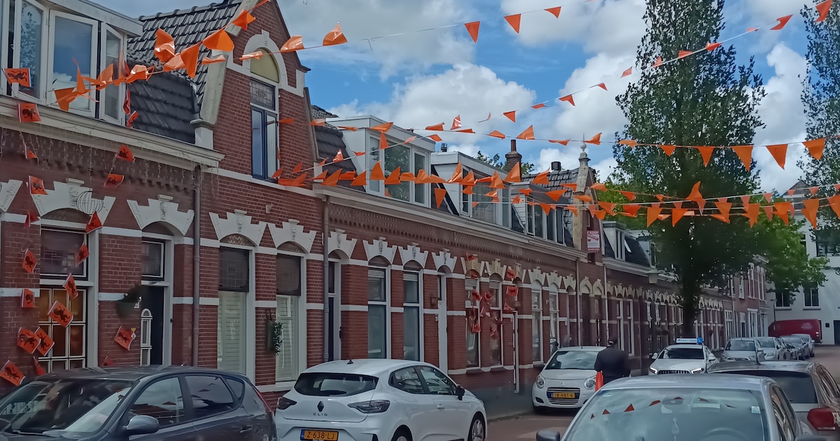 Welke straat in Vlaardingen kleurt het felst oranje?