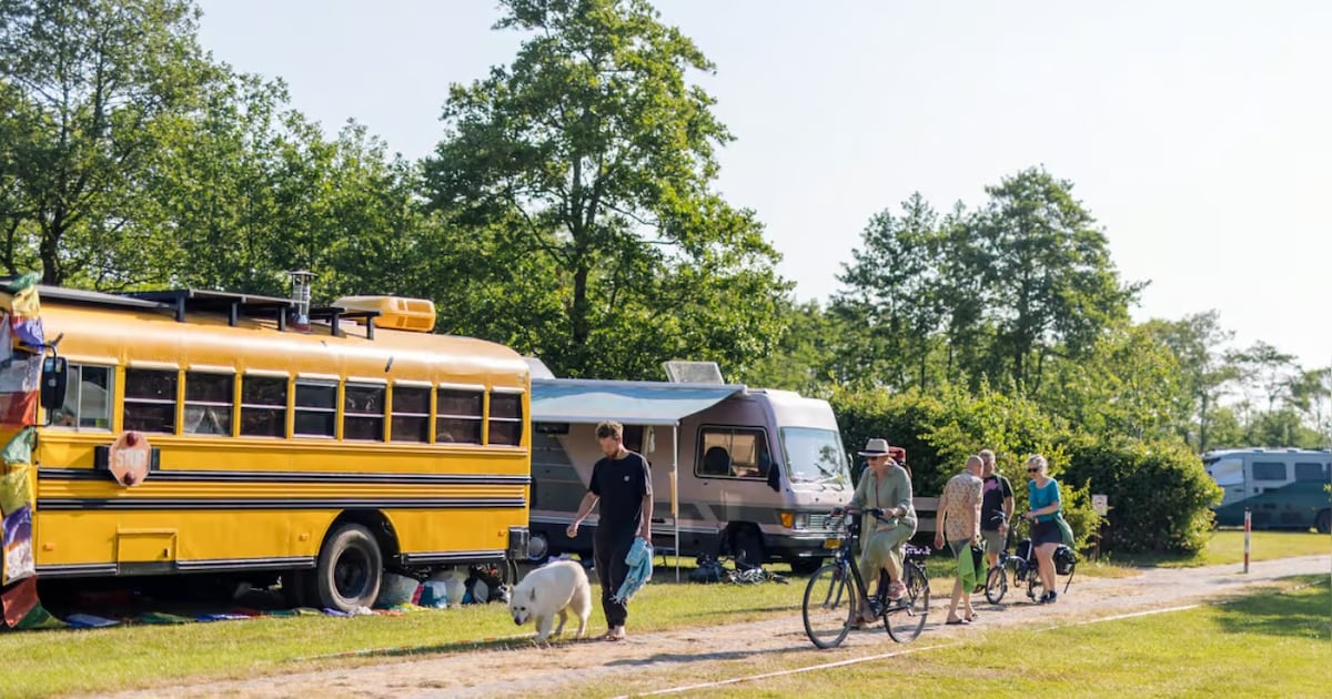 Extra avondbussen tijdens festivalweekenden op Terschelling