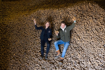 Massaal aan de aardappelen om van het overschot af te komen: ‘Nog nooit zoveel noodkreten gehad’