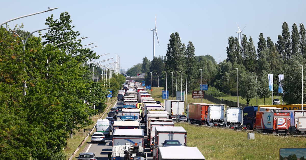 Een uur vertraging op A12 richting Antwerpen: aanschuiven vanaf Berendrecht