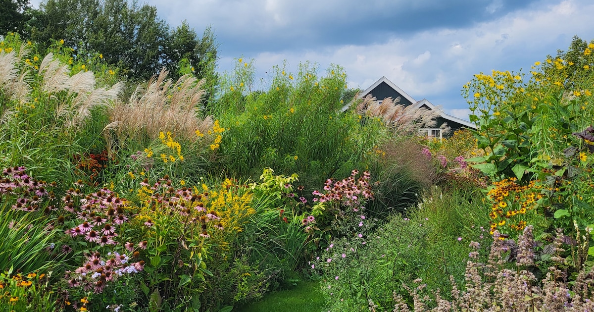 Sipke Terpstra geeft presentatie in Zevenaar over wilde bloementuin