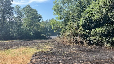 Brandweer voorkomt dat heidebrand overspringt naar bos bij Malden