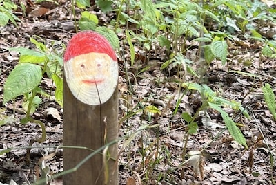 Winter in het Kabouterbos gestart op Landgoed Schothorst: wandelroute nu geopend